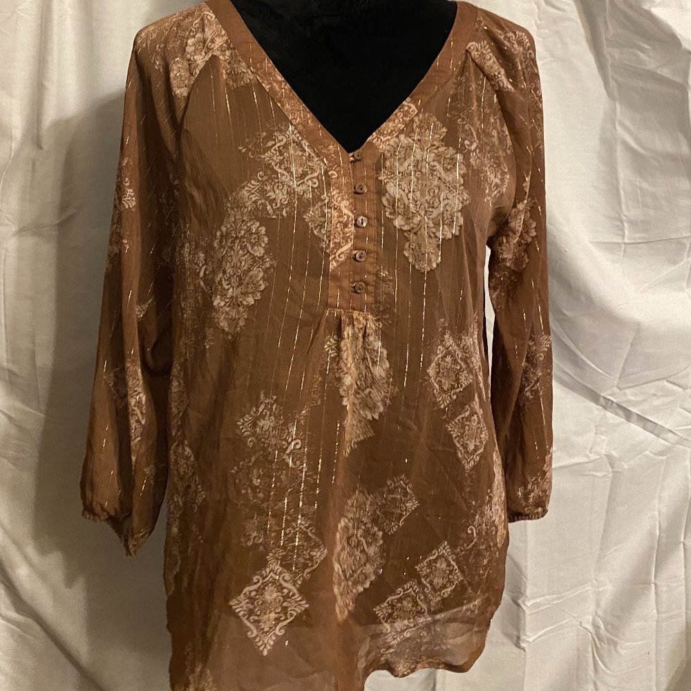 Sheer Blouse